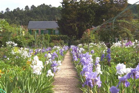 monet irises at givenchy|monet's garden of giverny.